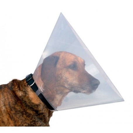 Collar Isabelino Transparente 10 cm