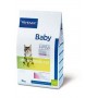 Baby Pre Neutered Cat 1.5kg