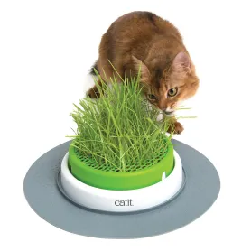 Kit Pasto Completo Para Gato Senses 2.0