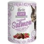Brit Care Cat Superfruits Salmon 100 grs