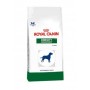 Royal Canin Vet Diet Canino Obesity 1,5Kg