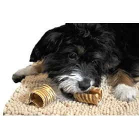 Maxi Yummi Bone
