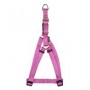 Arnes de Perro ZEUS Talla M Mandarina