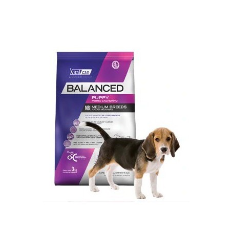 VitalCan Balanced Perro Cachorro Raza Mediana 3 kg