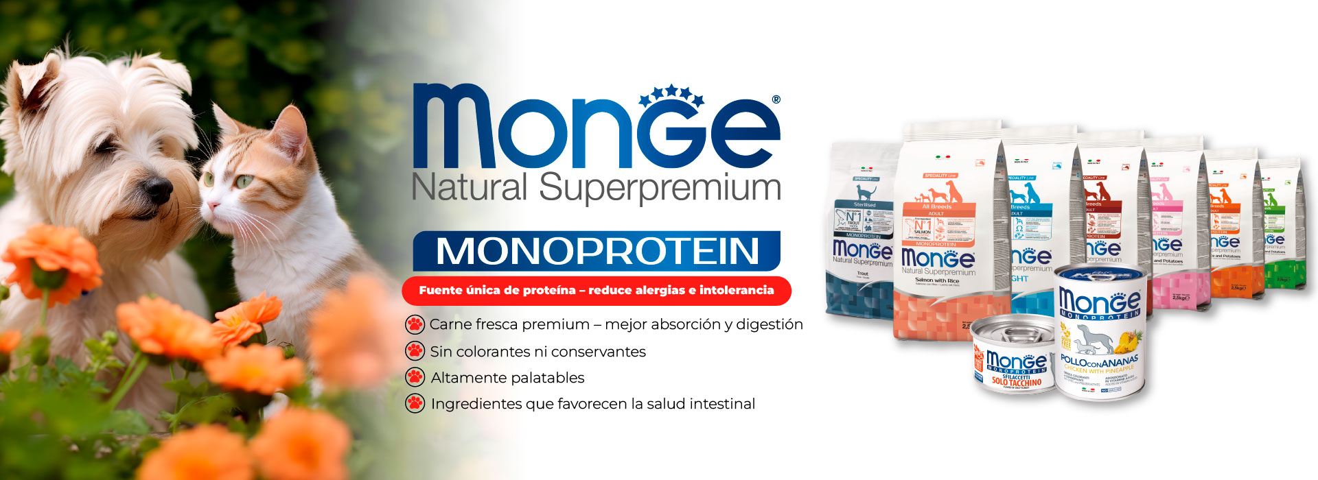 monge monge