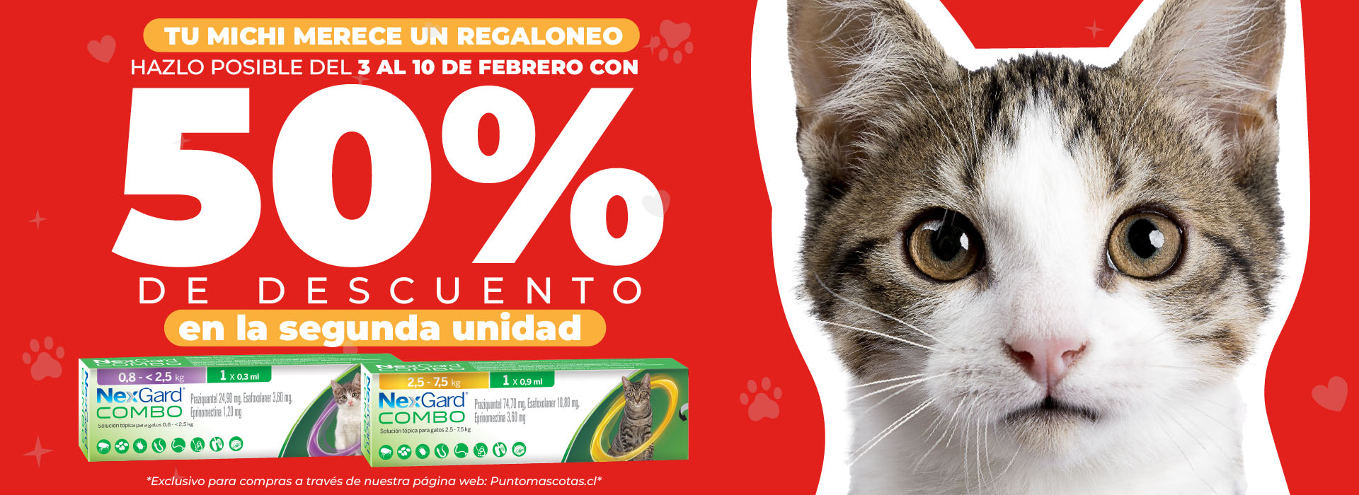 NexgardGatos