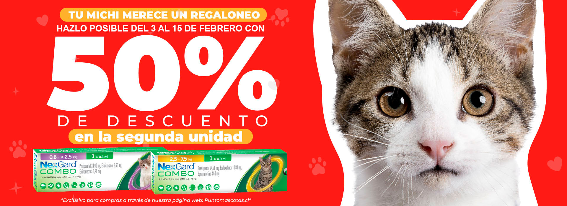 NexgardGatos