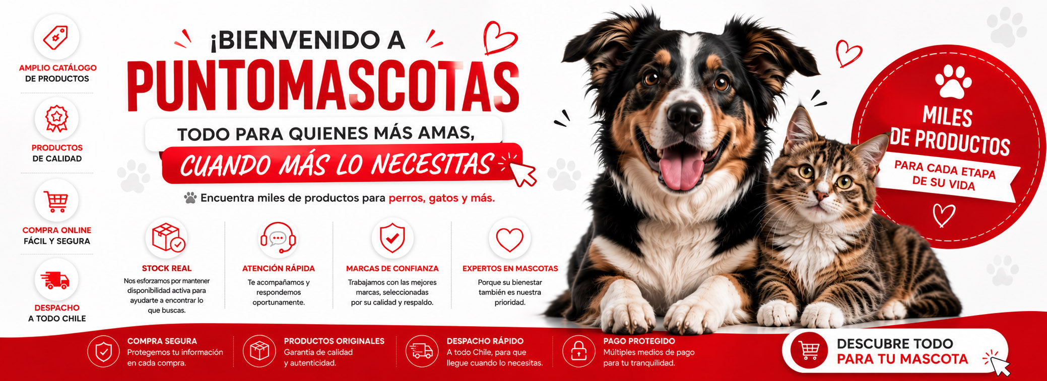 Puntomascotas Principal