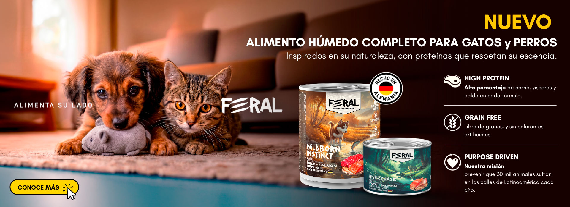Feral