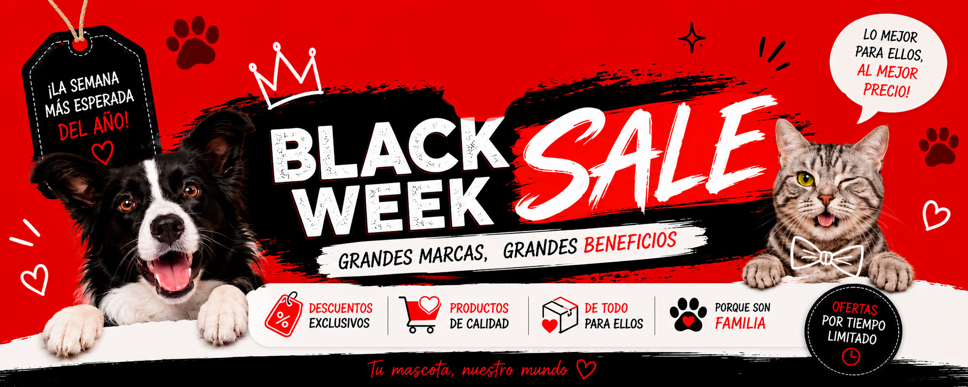 Black Sale Julio