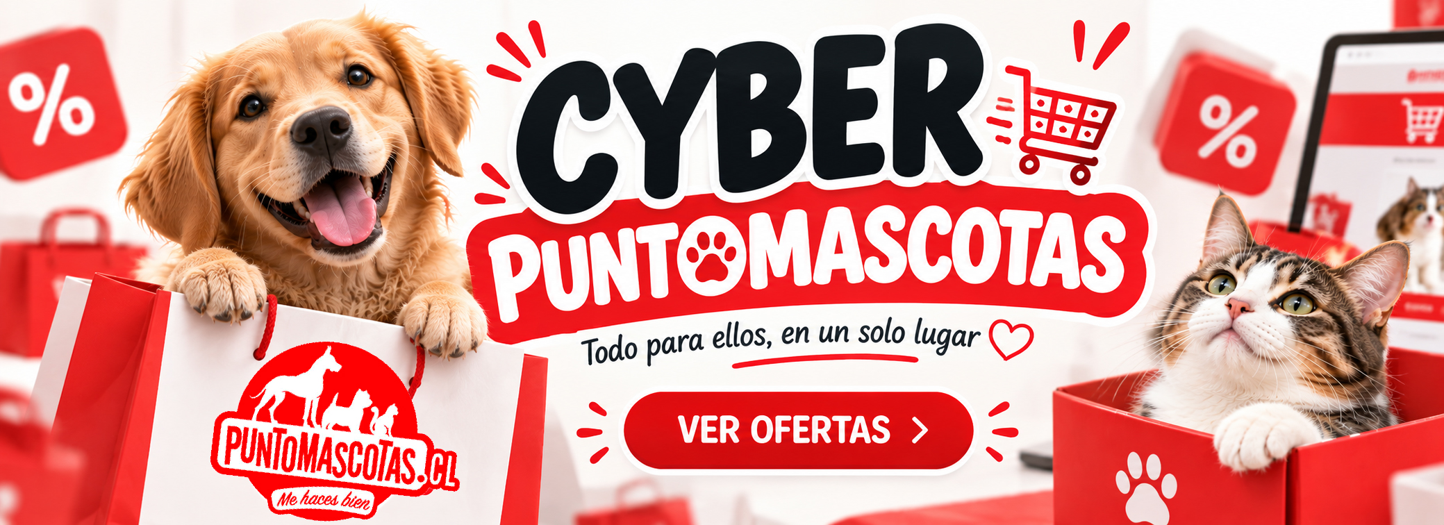 Cyber Octubre